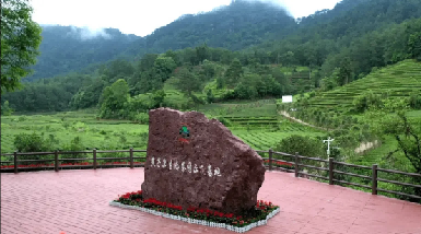 南平燕子窠生态茶园.png