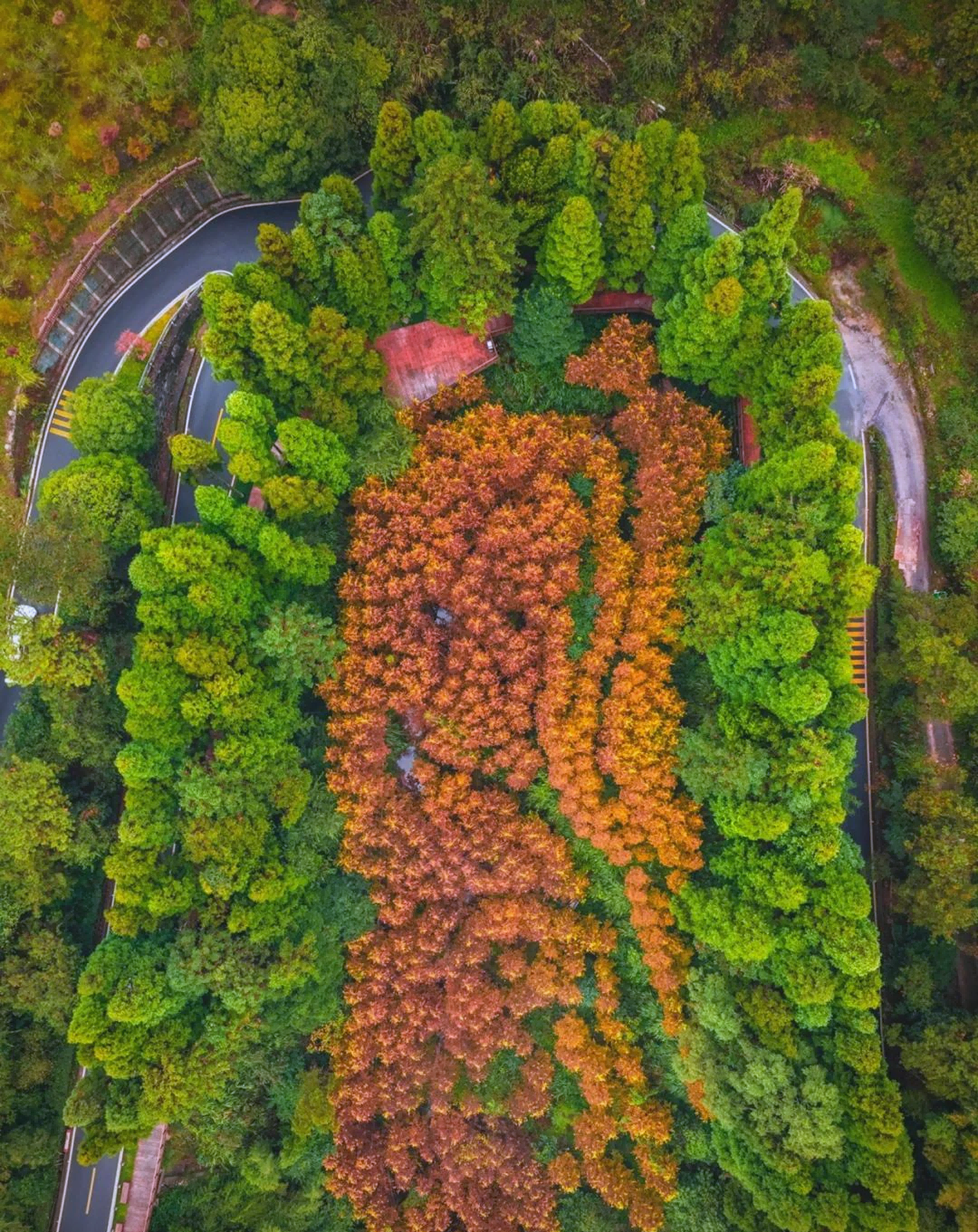 鼓岭旅游度假区.png